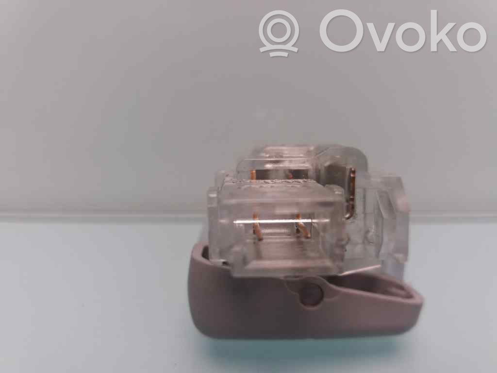 Headlining lighting console trim   C95YF