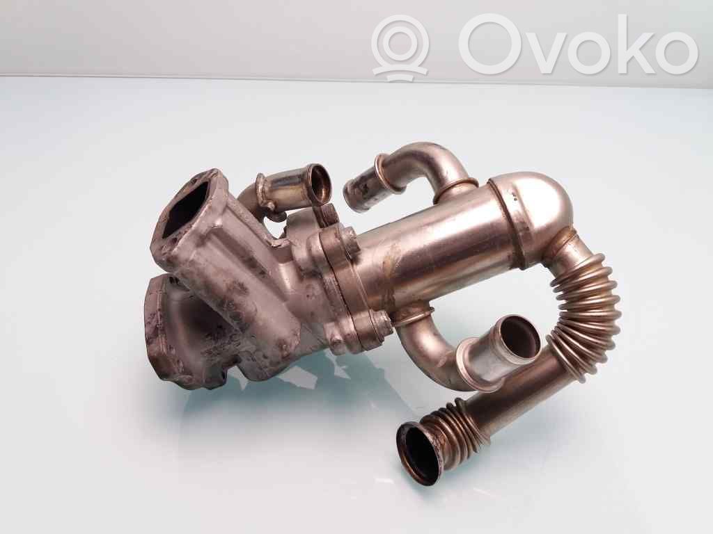 Válvula EGR   55204941,B295070581A,55192348