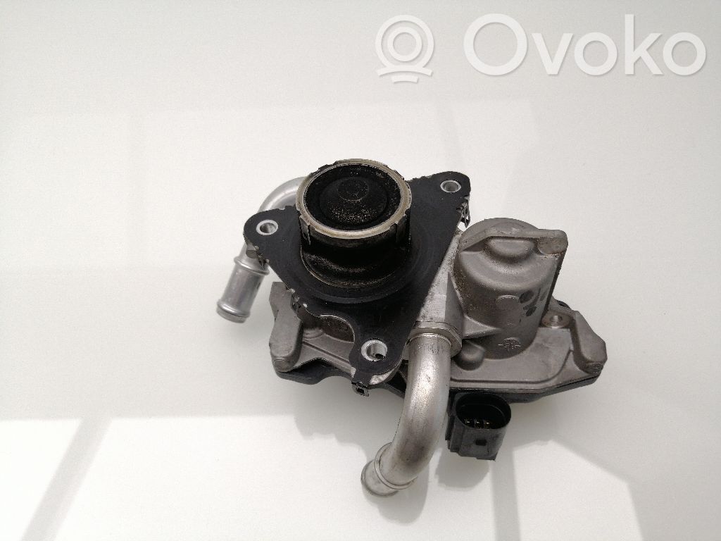 Seat Leon (5F) Valvola EGR