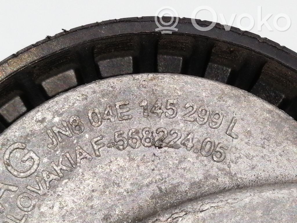 Seat Ibiza IV (6J,6P) Tendicinghia generatore/alternatore