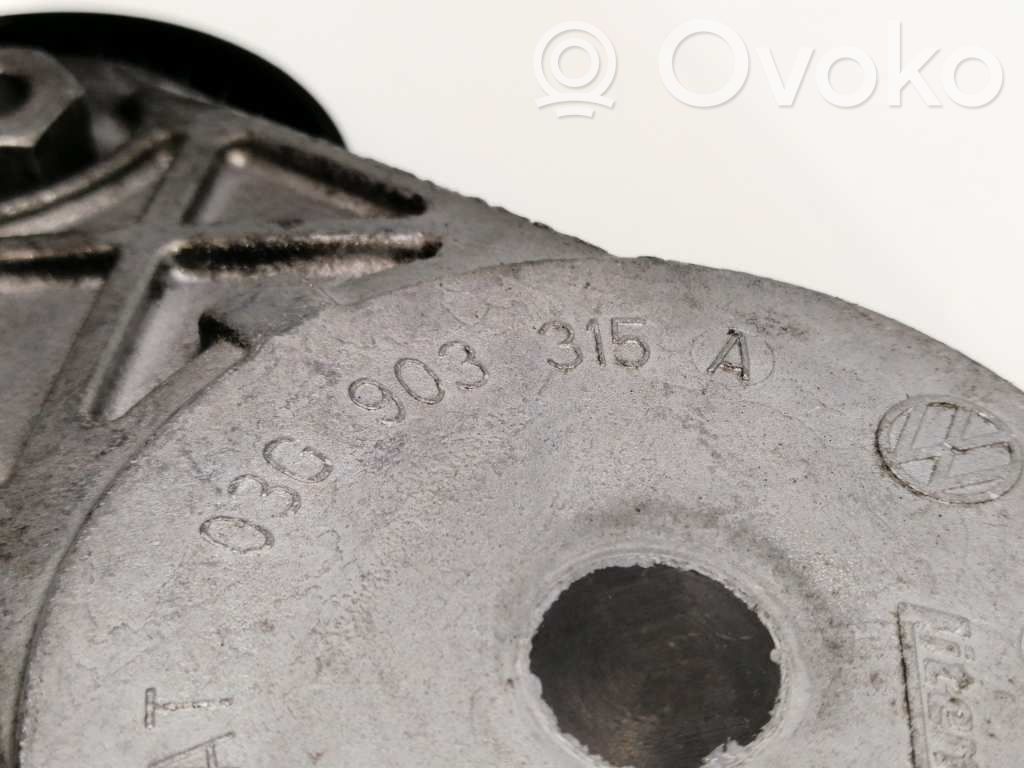 Volkswagen PASSAT B7 USA Întinzător curea generator/alternator 