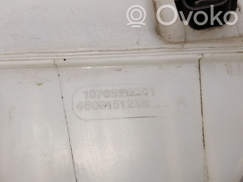 Servo-frein   1070529S01,460915125R