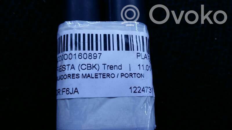 Ford Fiesta Tampone in gomma portellone posteriore/bagagliaio 
