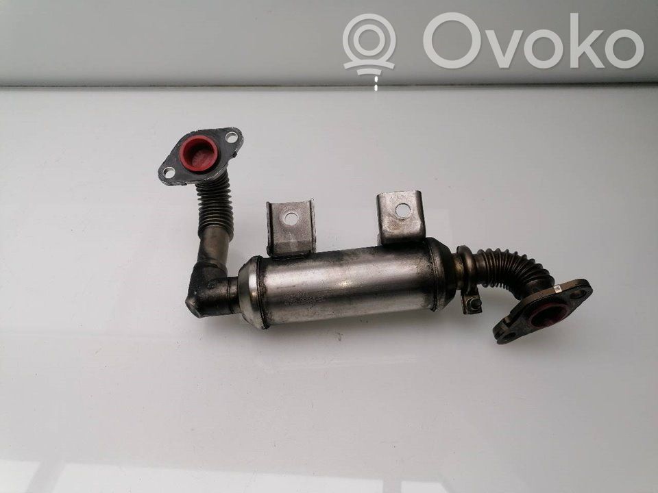 Ford C-MAX I Valvola di raffreddamento EGR 
