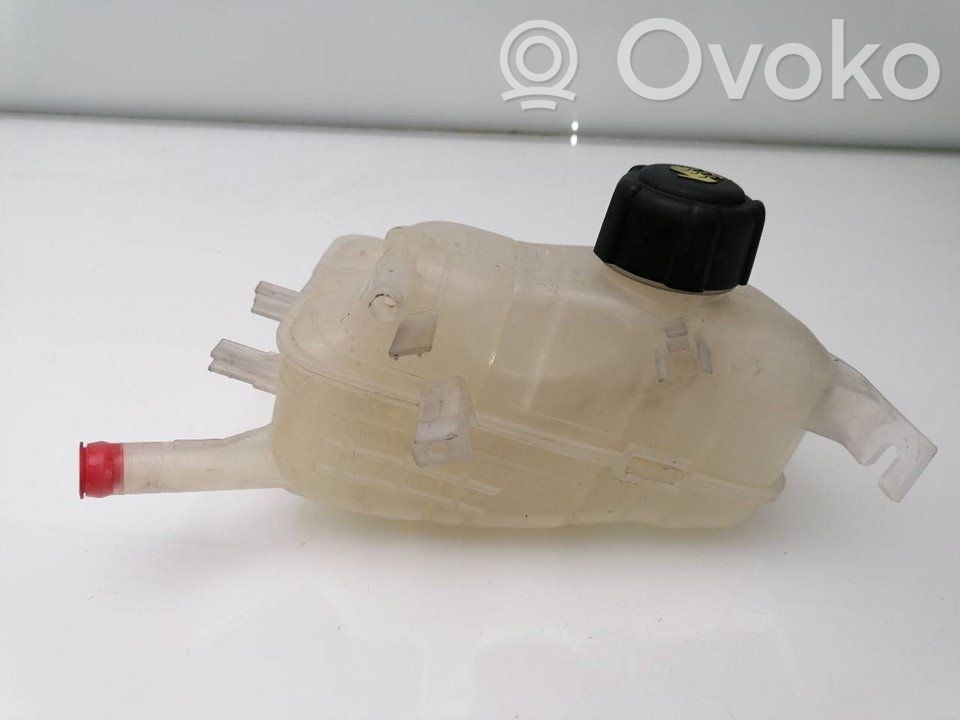 Renault Megane III Serbatoio di compensazione del liquido refrigerante/vaschetta