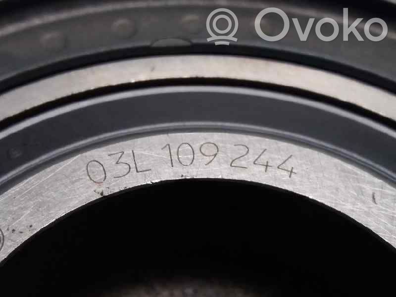 Curea distribuție   03L109244
