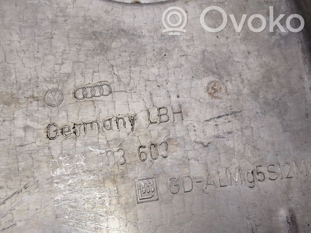 Cárter   06B103603,06B103601AH