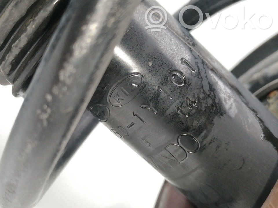 Stoßdämpfer vorne   546501Y101