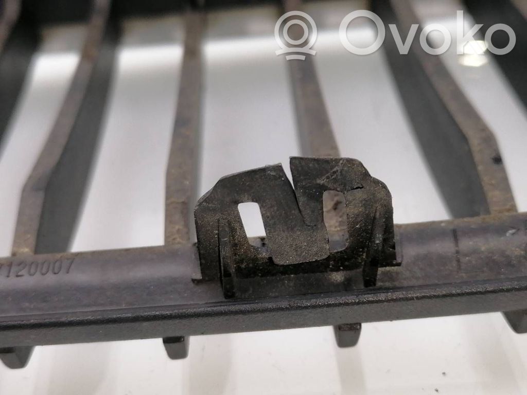 Kühlergrill   22405910