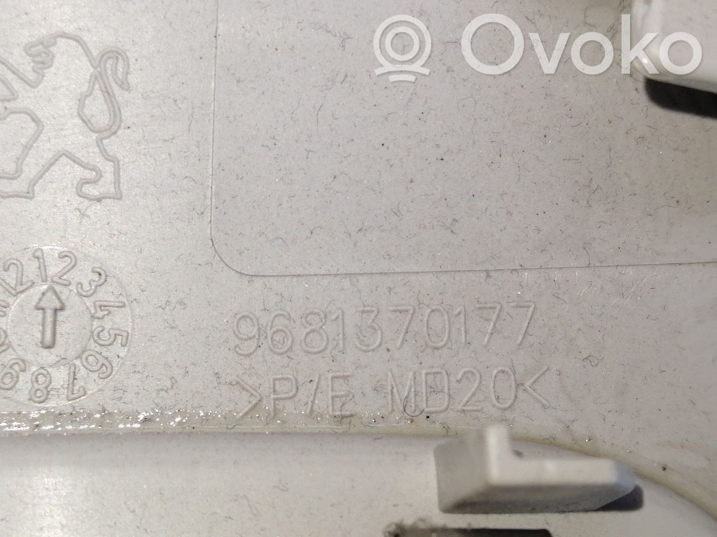 Peugeot 3008 II Rivestimento della console di illuminazione installata sul rivestimento del tetto