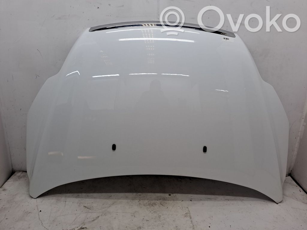 Motorhaube   1521601,P8M51A16610AE