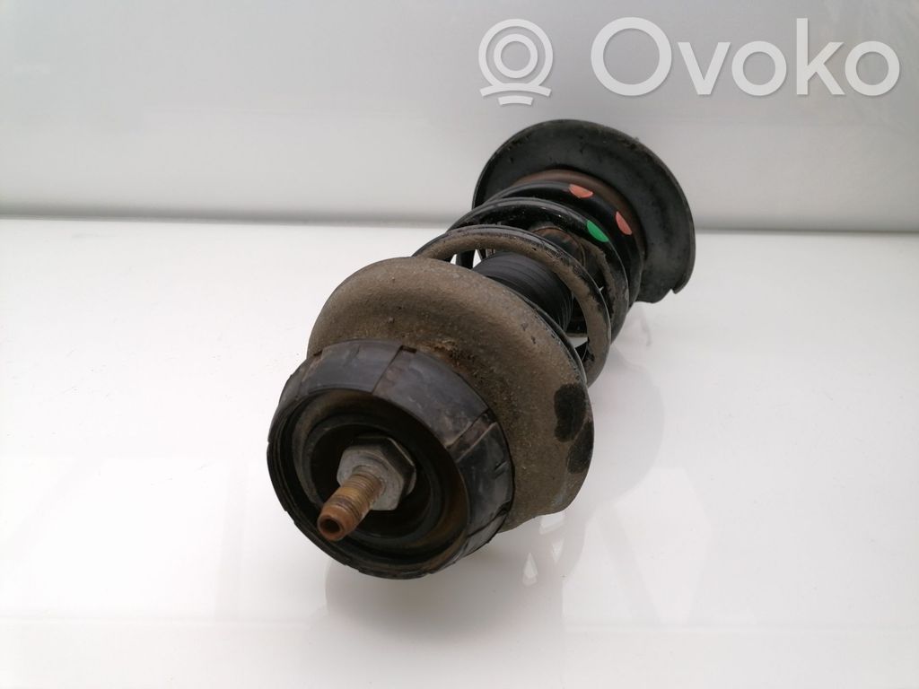 Stoßdämpfer vorne   543028938R,824902006283