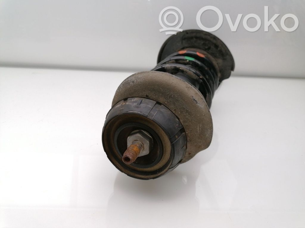 Stoßdämpfer vorne   543028938R,824902006283