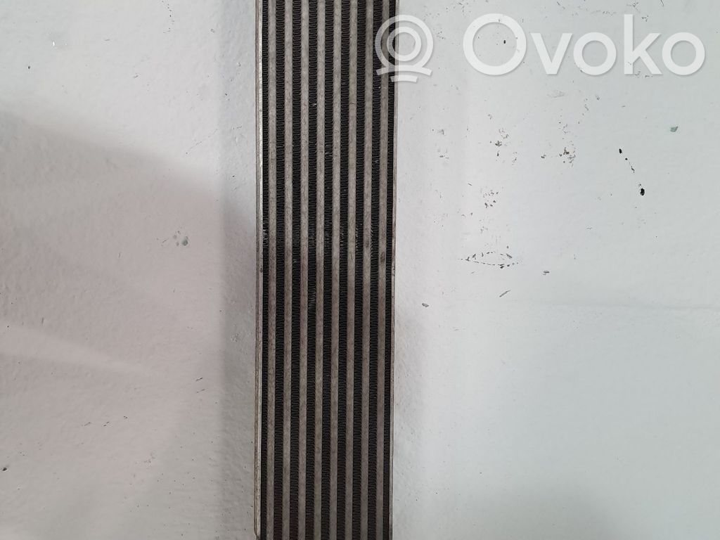 Radiatore intercooler   51783791