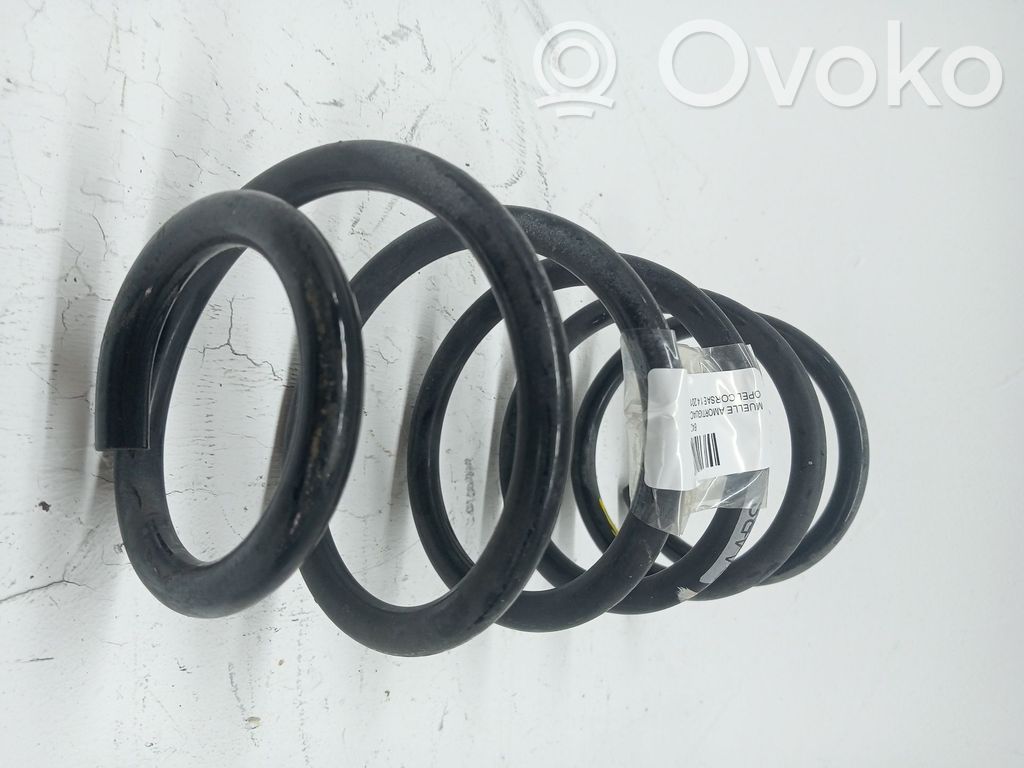 Front coil spring   13433401,312638