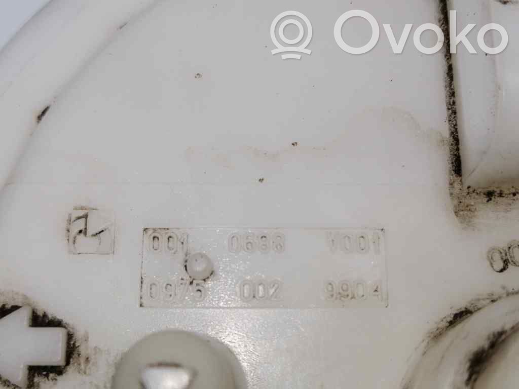 Pompe à carburant   0010688V001,09750029904,09750029904