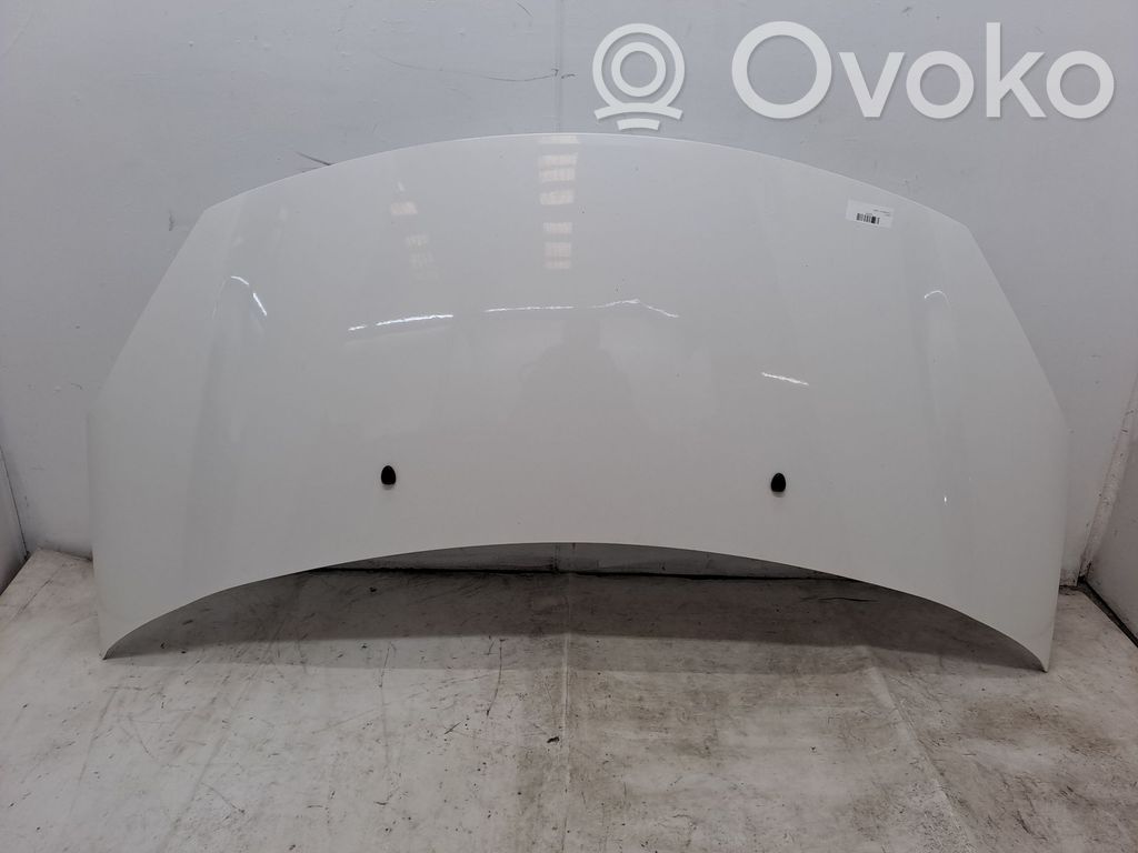 Motorhaube   7901R1