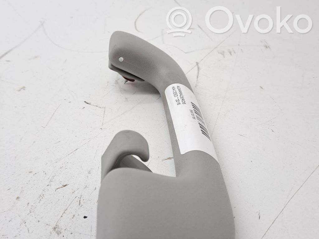 KIA Ceed Handrail (top trim) 