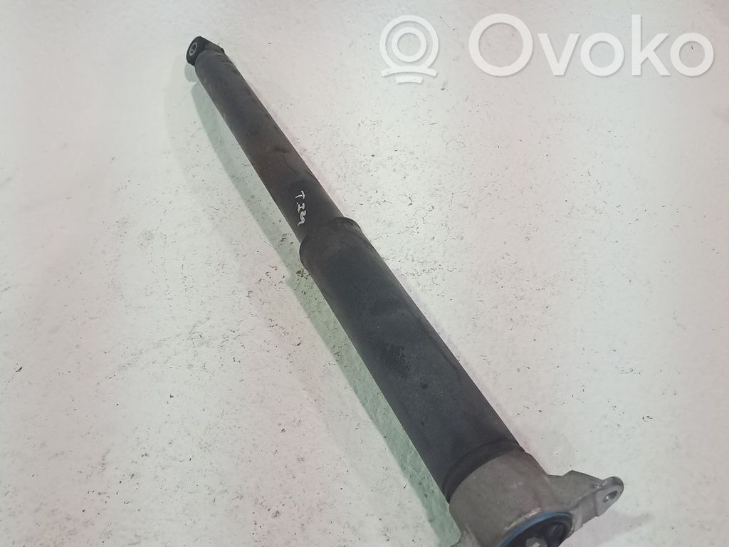 Ford Ecosport Amortizor spate 