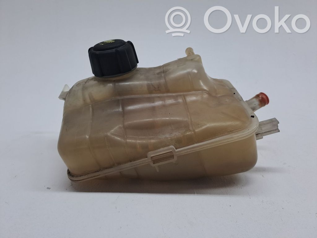 Renault Megane III Serbatoio di compensazione del liquido refrigerante/vaschetta