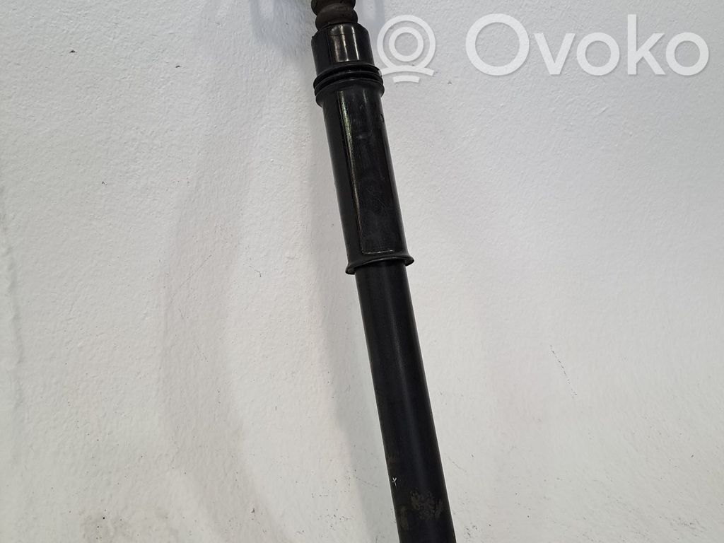 Stoßdämpfer hinten   9811519480