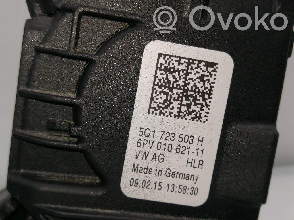 Gaspedal   5Q1723503H,6PV01062111