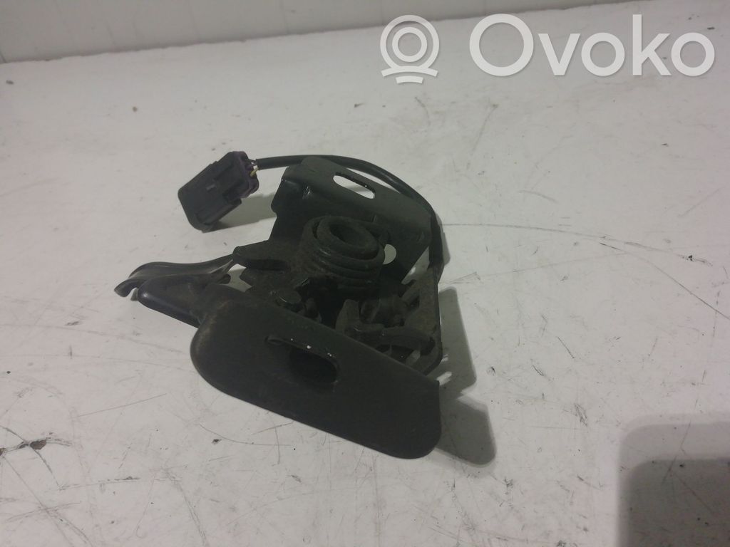 Tie down hook / loop   13367151,13367151
