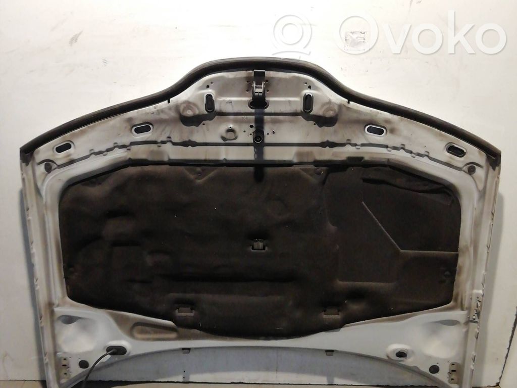 Motorhaube   7751471641