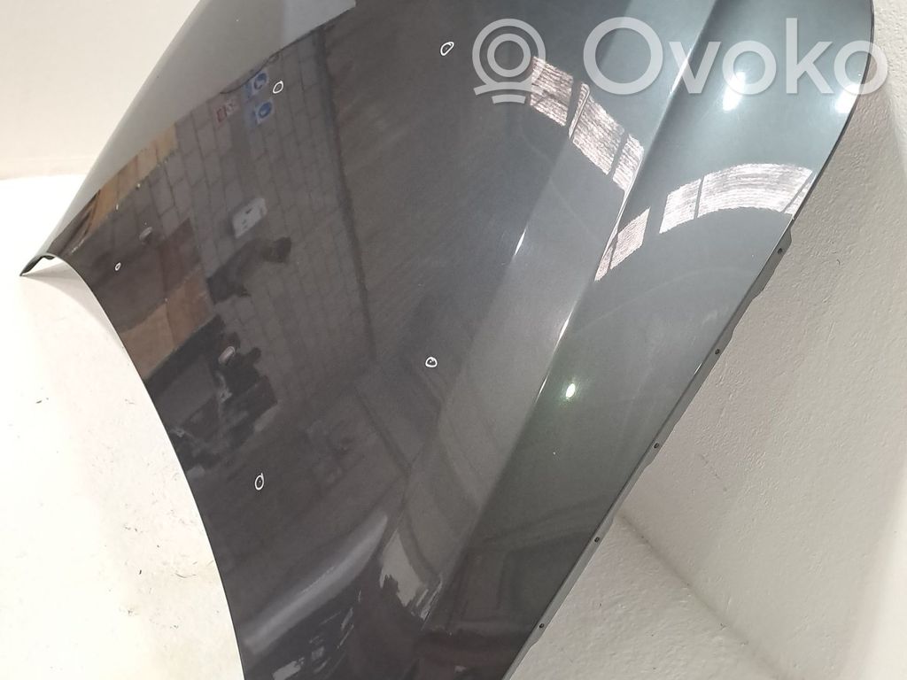 Engine bonnet/hood   41617111385