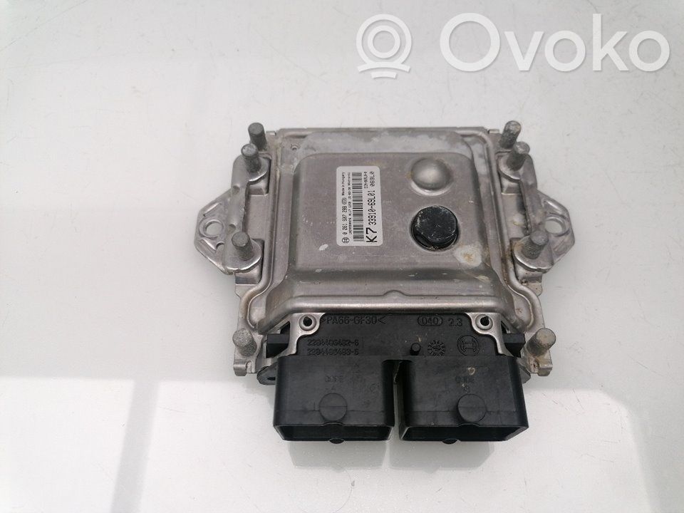 Unité de commande, module ECU de moteur   3391069L01,0261S07288