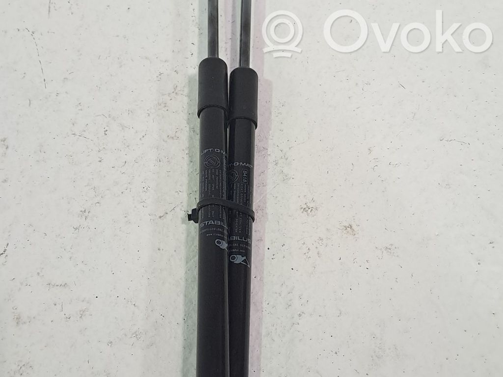 Fiat 500 Tailgate/trunk/boot lid buffer 