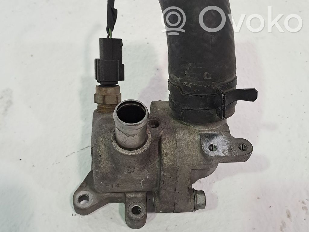 Termostato   256102A720