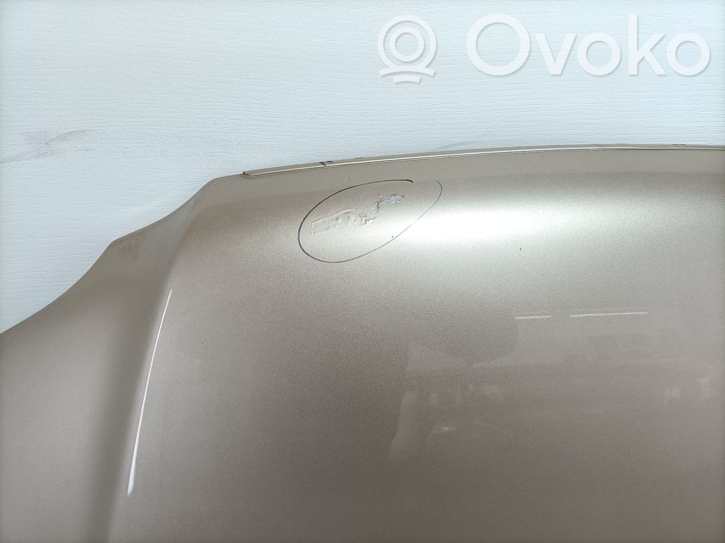 Konepelti   60100S10030ZZ