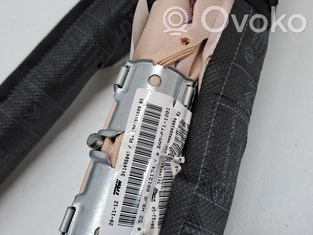 Airbag del techo   9802841080
