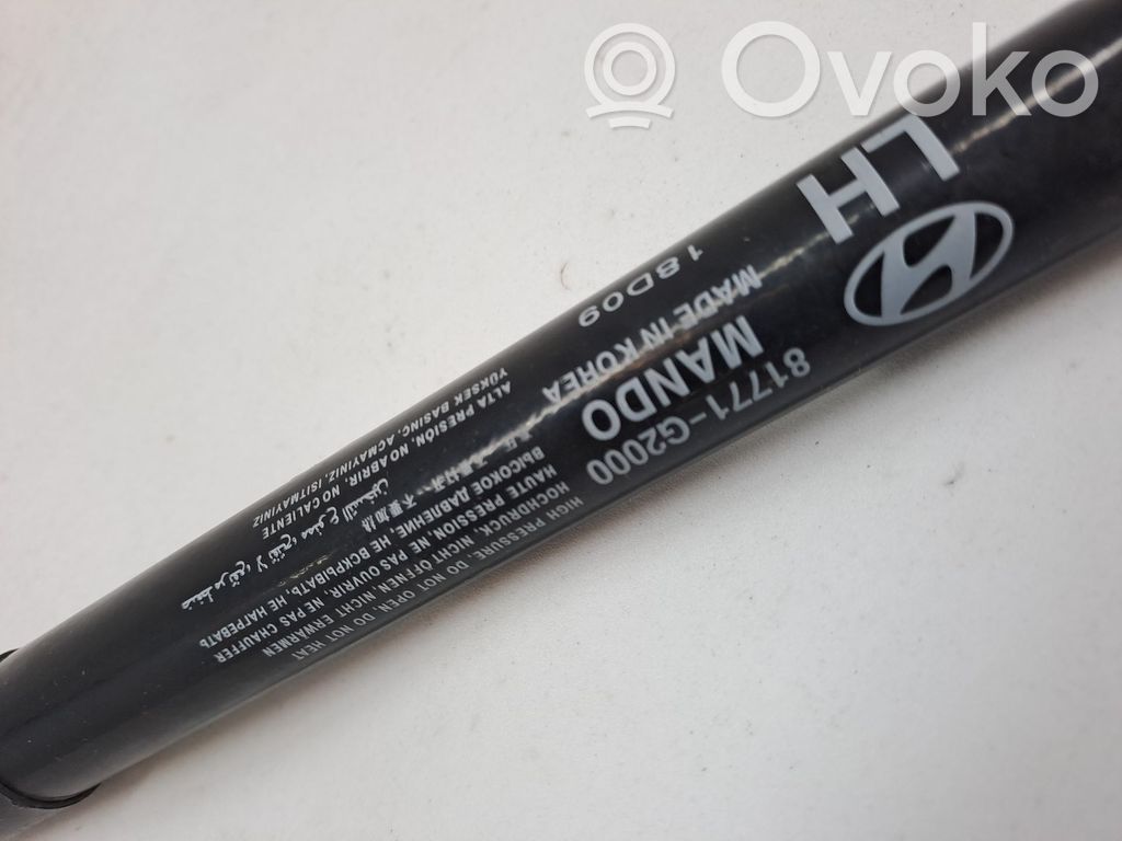 Hyundai Ioniq Tampone in gomma portellone posteriore/bagagliaio