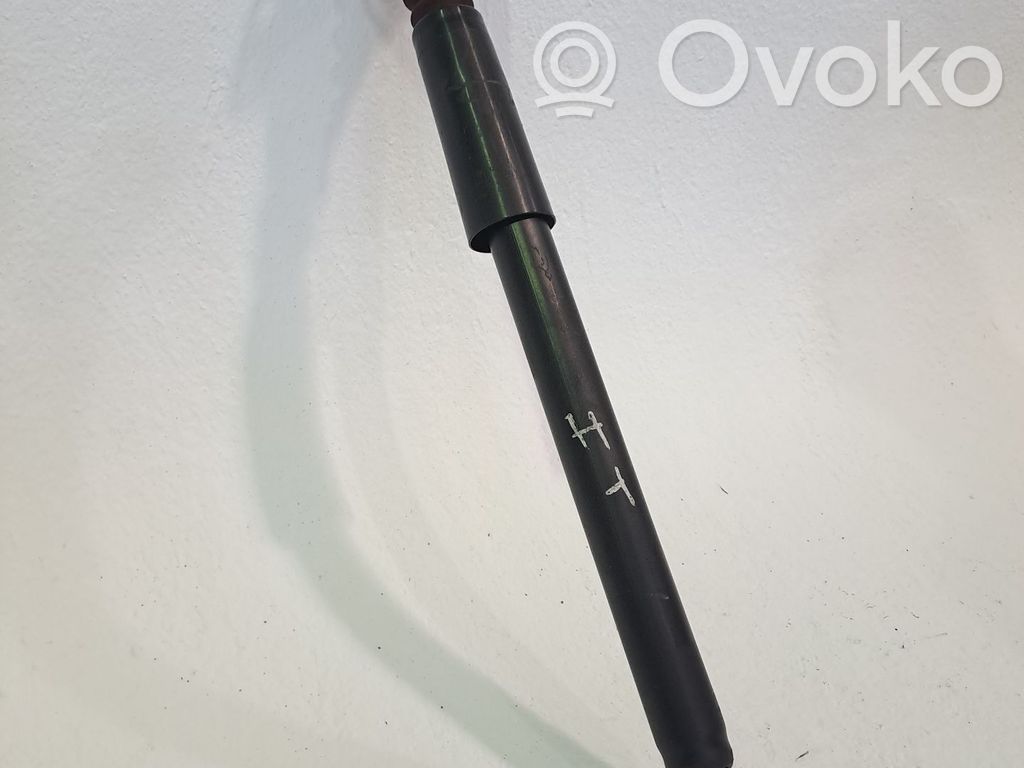 Amortiguador delantero   6R0513025BB