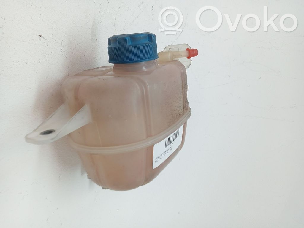 Peugeot Bipper Serbatoio di compensazione del liquido refrigerante/vaschetta 