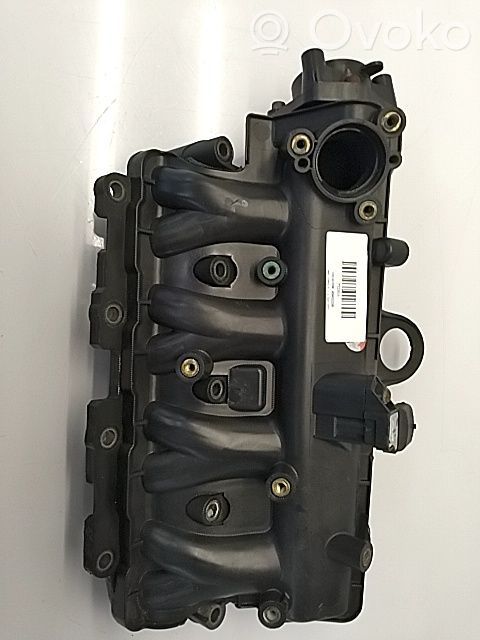 Imusarja   55231287