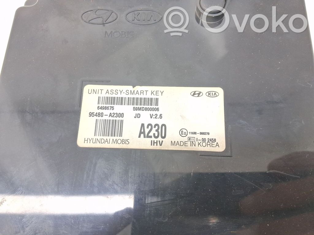 Kėbulo modulis   95480A2300