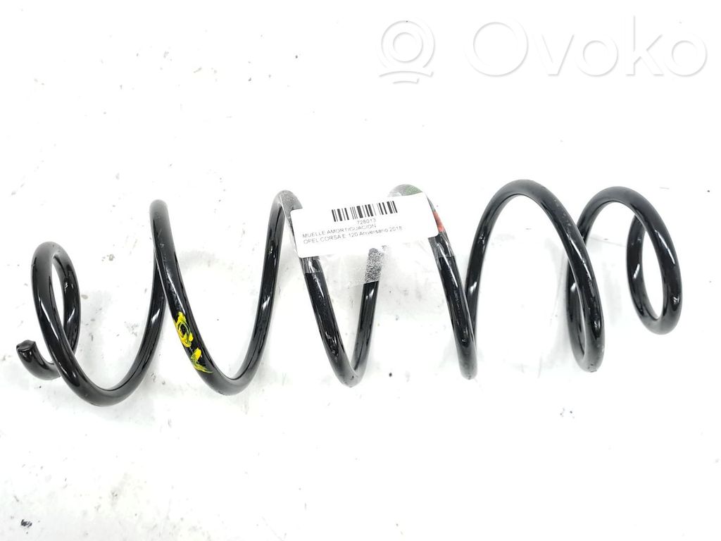 Muelle espiral delantero   9828919580
