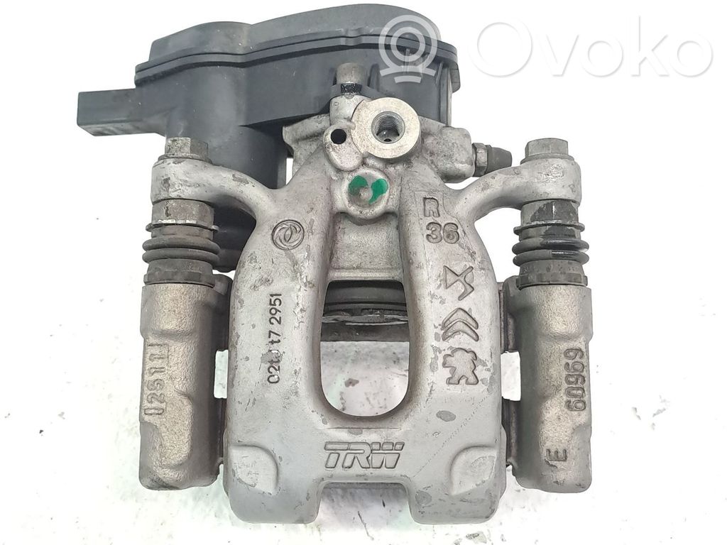 Takajarrusatula   9842295180