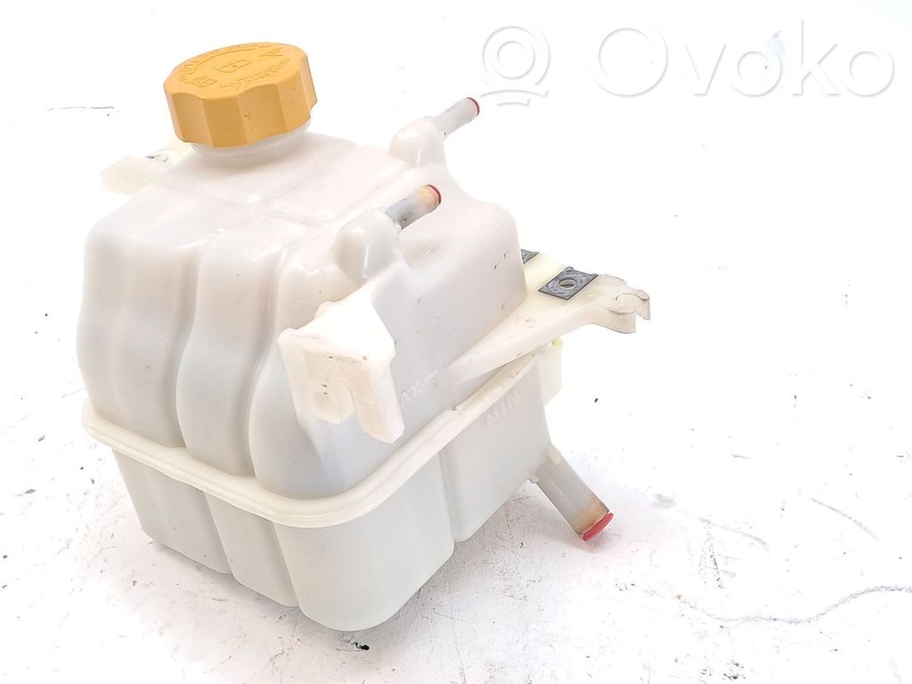 Chevrolet Captiva Serbatoio di compensazione del liquido refrigerante/vaschetta