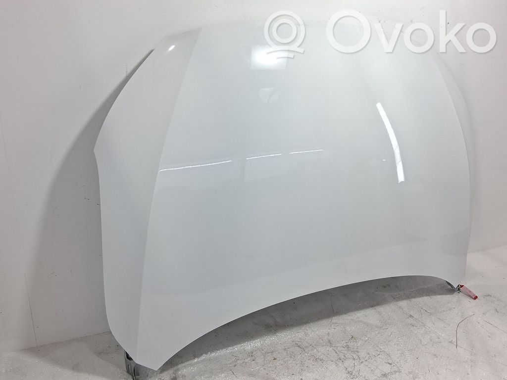 Capó/tapa del motor   10230176