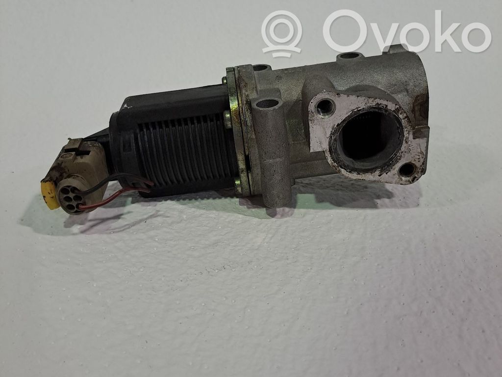 Válvula EGR   50024005