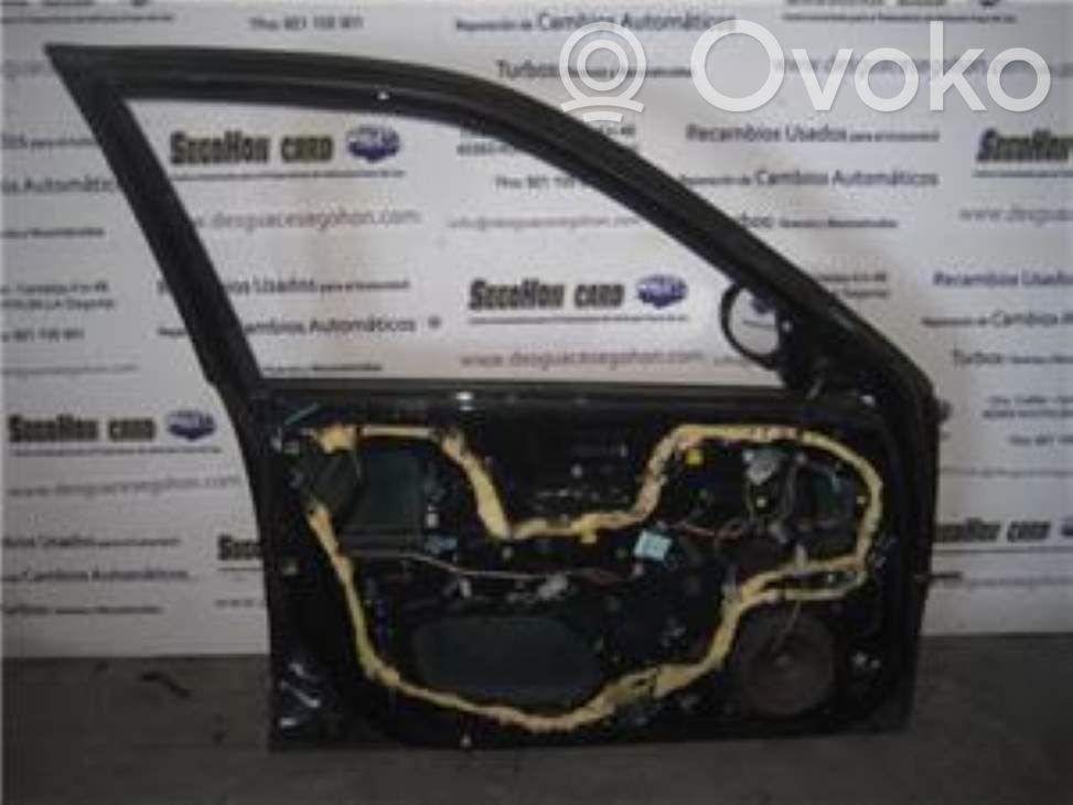 Rover 45 Puerta delantera 