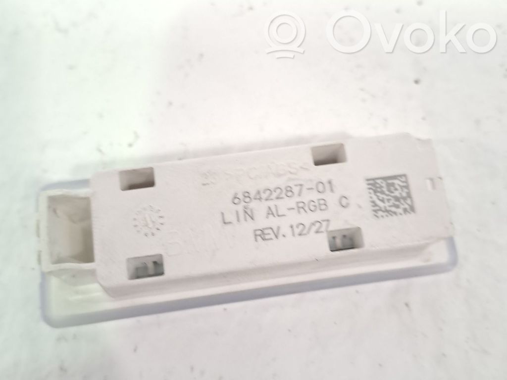 BMW X3 F25 Garniture de console d'éclairage de ciel de toit 