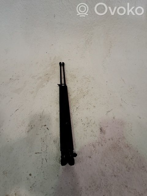 Fiat 500 Tailgate/trunk/boot lid buffer 