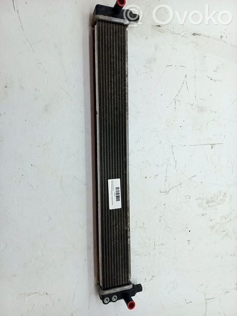 Toyota Prius (NHW20) Radiatore di raffreddamento 