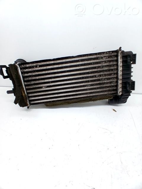 Ford Focus Radiatore intercooler