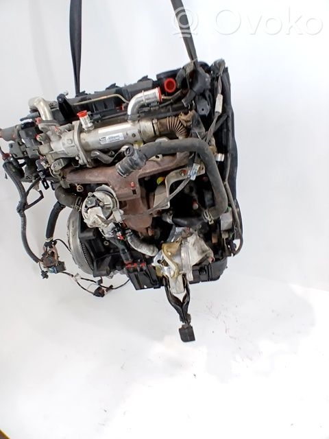 Engine swap   RHR,DW10BTED4,0135QG
